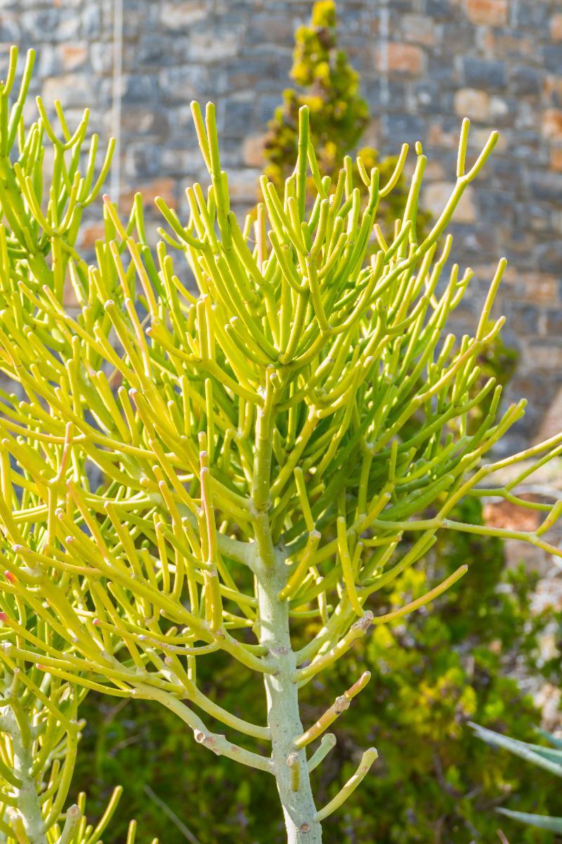 Elounda Sea View Villas Exteriör bild